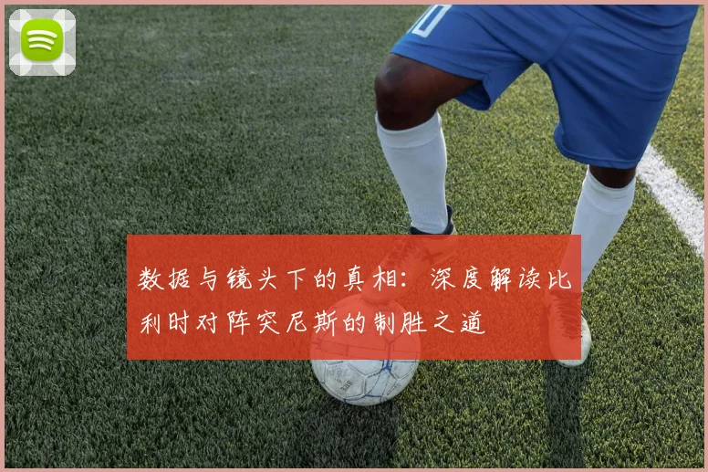 数据与镜头下的真相：深度解读比利时对阵突尼斯的制胜之道