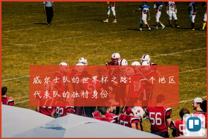威尔士队的世界杯之路：一个地区代表队的独特身份
